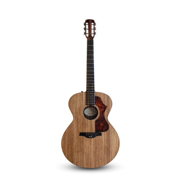 Blackbird carbon fiber guitar deals