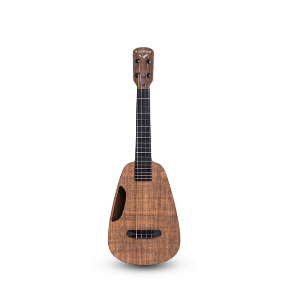 Blackbird ukulele shop for sale