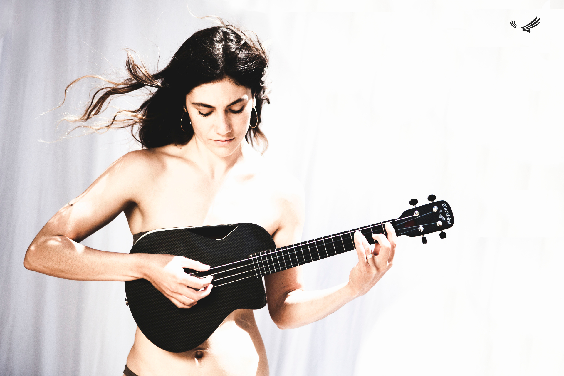 Blackbird Guitars — Carbon Fiber & Ekoa® Instruments
