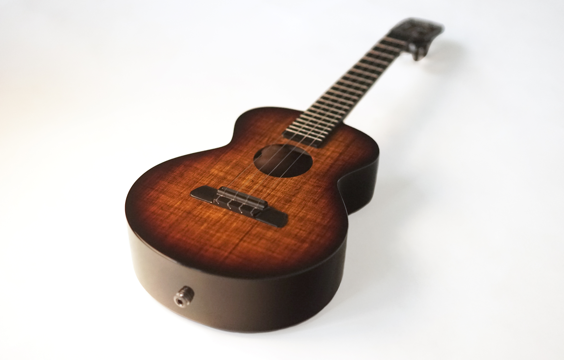 Blackbird Guitars — Carbon Fiber & Ekoa® Instruments