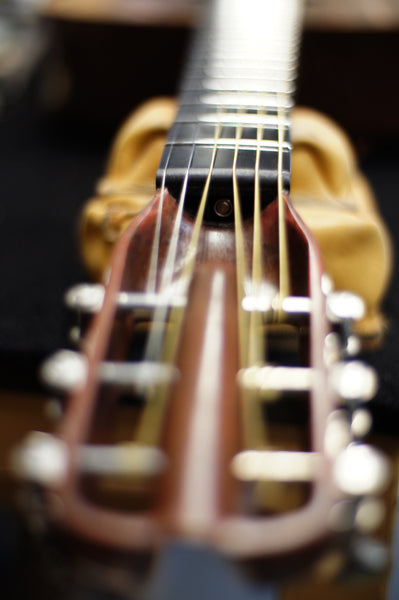 Why El Capitan has a truss rod