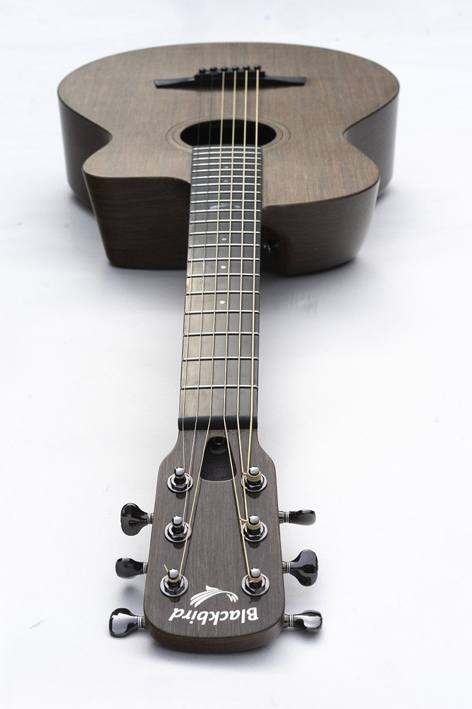 Blackbird carbon best sale fiber guitar
